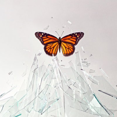 201201-omag-beck-butterfly-600x411