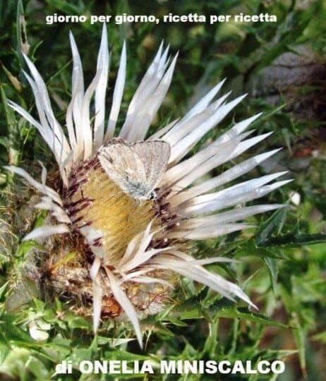 d3a32e598b3f455eacdc13c3737826c5